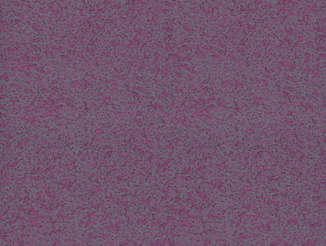 Flotex by Sottsass - 990301 Bacteria